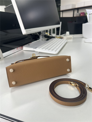 Kelly Mini II Bag Epsom Leather Gold/Silver Hardware In Biscuit Color HS