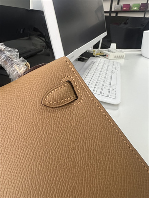 Kelly Mini II Bag Epsom Leather Gold/Silver Hardware In Biscuit Color HS