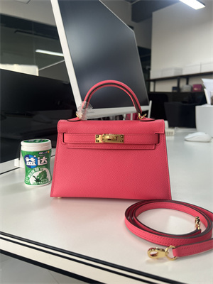 Kelly Mini II Bag Epsom Leather Gold/Silver Hardware In Rose Lipsur HS