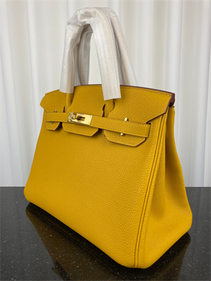 Bir.kin Bag TOGO Leather 25/30/35CM Gold/Silver Hardware In Jaune Amber Color HS