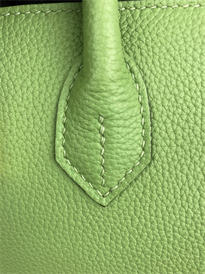 Bir.kin Bag TOGO Leather 25/30/35CM Gold/Silver Hardware In Vert Criquet Color HS