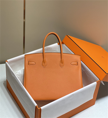 Bir.kin Bag Calfskin Leather 25/30/35CM Gold/Silver Hardware In Orange Color