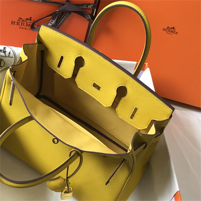 Bir.kin Bag Calfskin Leather 25/30/35CM Gold/Silver Hardware In Jaune Amber Color