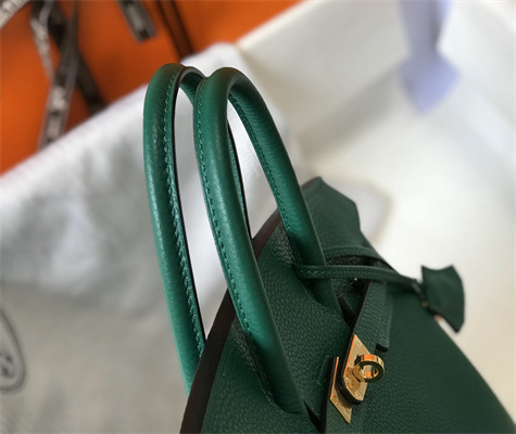 Bir.kin Bag Calfskin Leather 25/30/35CM Gold/Silver Hardware In Vert Vertigo Color