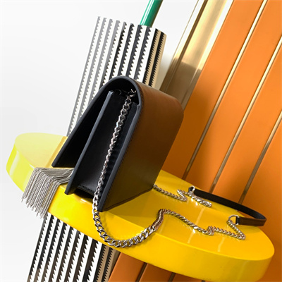 Y.S.L KATE SMALL TASSEL IN SMOOTH Leather Silver Tone Metal Black Color