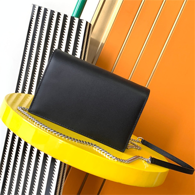 Y.S.L KATE SMALL TASSEL IN SMOOTH Leather Silver Tone Metal Black Color