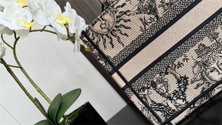 CD Small Book Tote Beige and Black Toile de Jouy Solei Embroidery