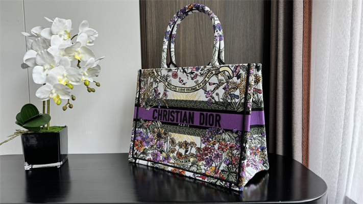 CD Medium Book Tote Ecru Multicolor Di.or 4 Saisons ??t?? Soleil Embroidery