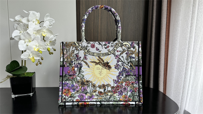 CD Medium Book Tote Ecru Multicolor Di.or 4 Saisons ??t?? Soleil Embroidery