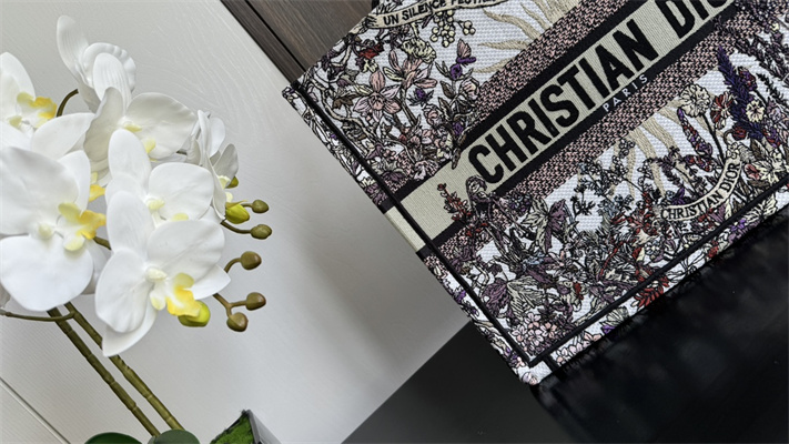 CD Medium Book Tote Ecru Multicolor Di.or 4 Saisons Hiver Soleil Embroidery