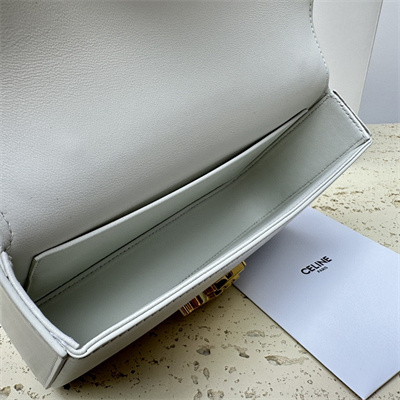 Celine Chain Shoulder Bag Cuir Triomphe In Shiny Calfskin White