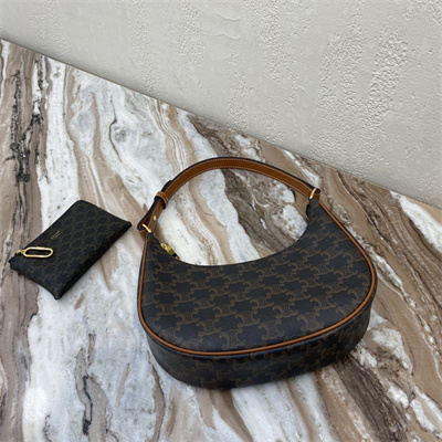 Celine AVA Bag In Triomphe Canvas and Calfskin Tan