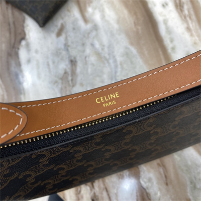 Celine AVA Bag In Triomphe Canvas and Calfskin Tan