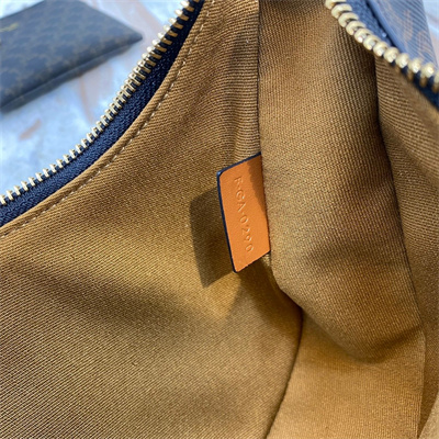 Celine AVA Bag In Triomphe Canvas and Calfskin Tan