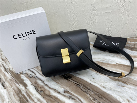Celine Teen Classic Box Bag In Black Box Calfskin Leather