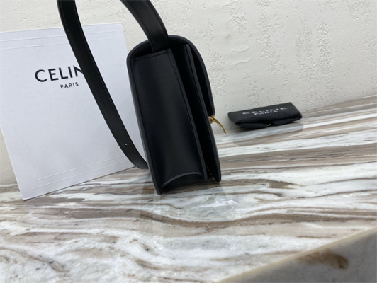 Celine Teen Classic Box Bag In Black Box Calfskin Leather