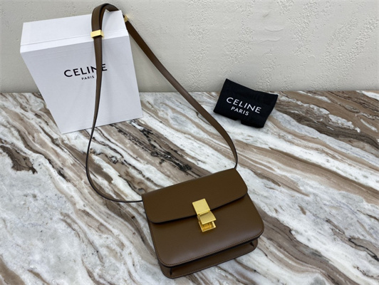 Celine Teen Classic Box Bag In Brown Box Calfskin Leather