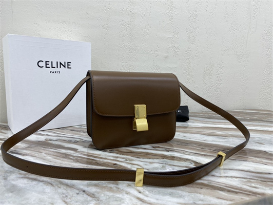 Celine Teen Classic Box Bag In Brown Box Calfskin Leather
