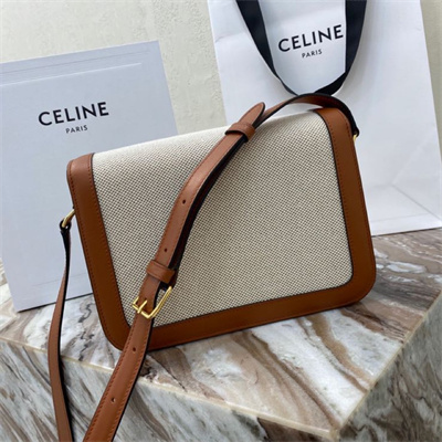 Celine Classique Triomphe Bag In Textile and Calfskin Nature/Tan