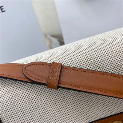 Celine Classique Triomphe Bag In Textile and Calfskin Nature/Tan