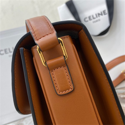 Celine Classique Triomphe Bag In Textile and Calfskin Nature/Tan