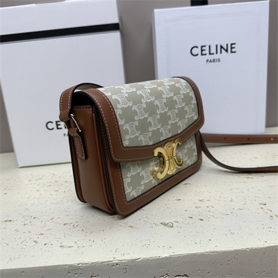 Celine Classique Triomphe Bag In Triomphe Canvas and Calfskin White