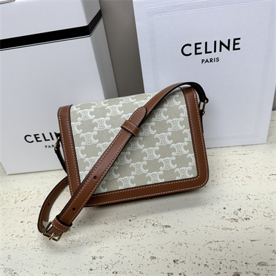 Celine Classique Triomphe Bag In Triomphe Canvas and Calfskin White