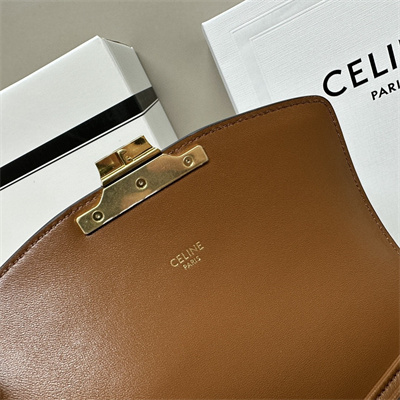Celine Classique Triomphe Bag In Triomphe Canvas and Calfskin White