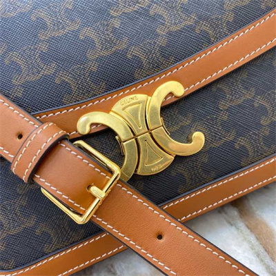 Celine Classique Triomphe Bag In Triomphe Canvas and Calfskin Tan