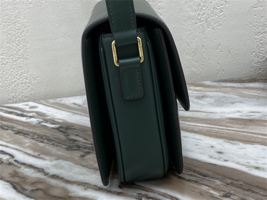 Celine Classique Triomphe Bag In Shiny Calfskin Amazone Color