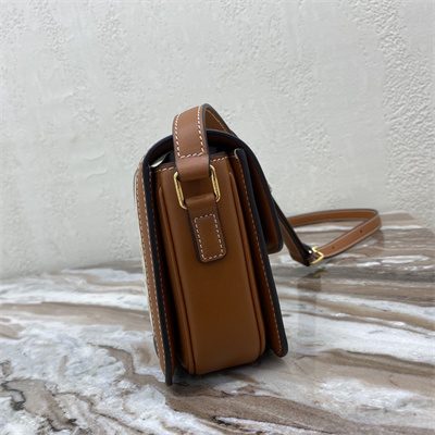 Celine Teen Triomphe Bag In Triomphe Canvas and Calfskin White