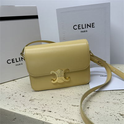 Celine Teen Triomphe Bag In Shiny Calfskin Pollen Color