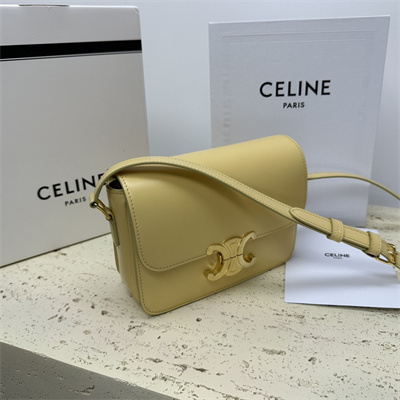 Celine Teen Triomphe Bag In Shiny Calfskin Pollen Color