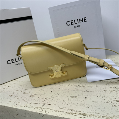 Celine Teen Triomphe Bag In Shiny Calfskin Pollen Color