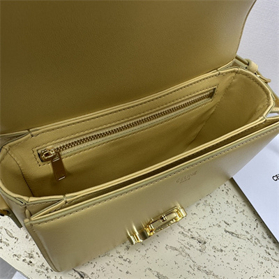 Celine Teen Triomphe Bag In Shiny Calfskin Pollen Color