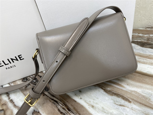 Celine Teen Triomphe Bag In Shiny Calfskin Grey Color