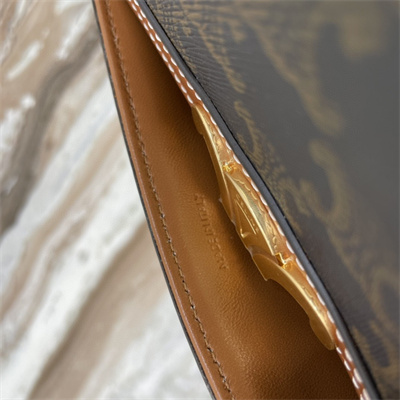 Celine Teen Triomphe Bag In Triomphe Canvas and Calfskin Tan