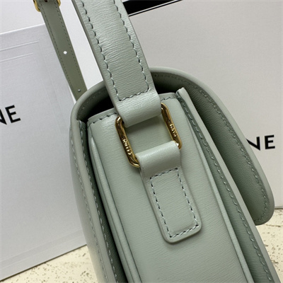 Celine Teen Triomphe Bag In Shiny Calfskin Pale Green Color
