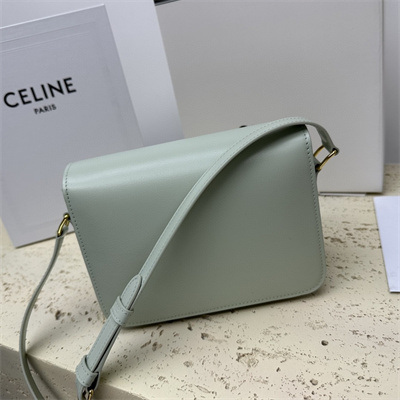 Celine Teen Triomphe Bag In Shiny Calfskin Pale Green Color