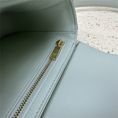 Celine Teen Triomphe Bag In Shiny Calfskin Pale Green Color