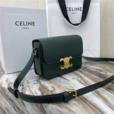 Celine Teen Triomphe Bag In Shiny Calfskin Amazone Color