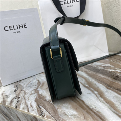 Celine Teen Triomphe Bag In Shiny Calfskin Amazone Color