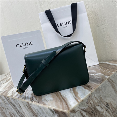 Celine Teen Triomphe Bag In Shiny Calfskin Amazone Color