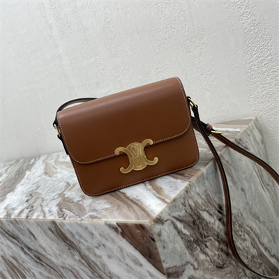 Celine Teen Triomphe Bag In Shiny Calfskin Brown Color