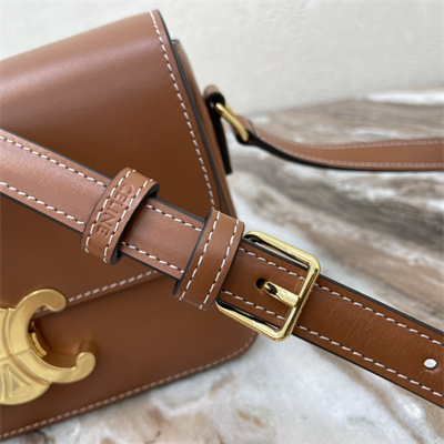 Celine Teen Triomphe Bag In Shiny Calfskin Brown Color