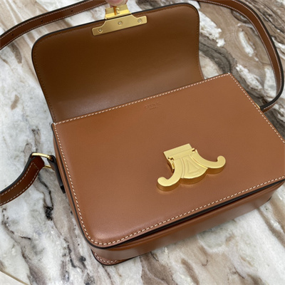 Celine Teen Triomphe Bag In Shiny Calfskin Brown Color