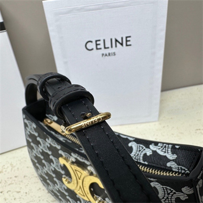 Celine Medium TILLY Bag In Triomphe Canvas and Calfskin Black and White