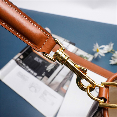 Celine Bucket 16 Bag In Textile With Celine Jacquard Brown Multicolor