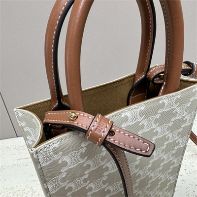 Celine Mini Vertical Cabas In Triomphe Canvas And Calfskin Greige