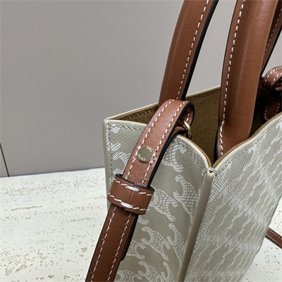 Celine Mini Vertical Cabas In Triomphe Canvas And Calfskin Greige